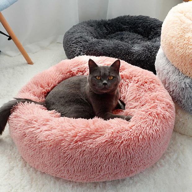 black cat on pink plush bed